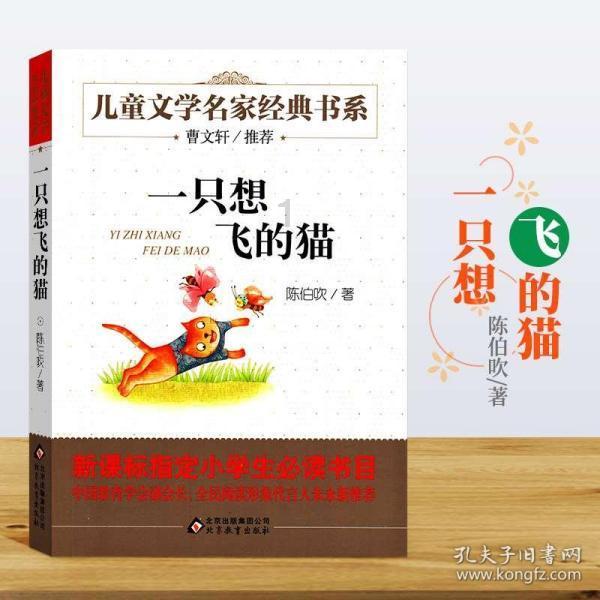 暗夜行驶者